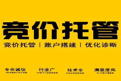 SEM运营公司案例研究：广告创意与执行